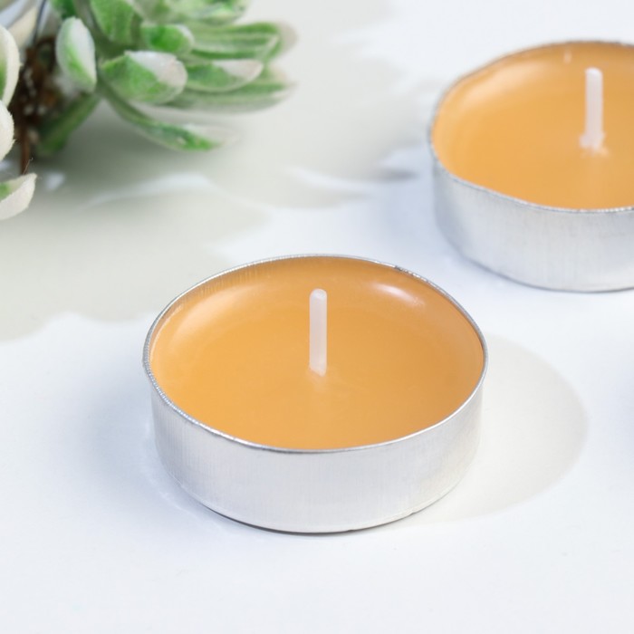 Набор чайных свечей ароматизированных в подарочной коробке, 6 шт "Корица"